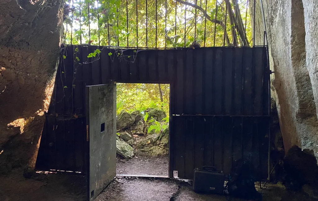 Puerta que separa una cueva con el exterior en donde hay un bosque.